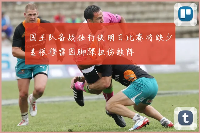 国王队备战独行侠明日比赛将缺少基根穆雷因脚踝扭伤缺阵